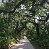 Review photo of Sea Camp Campground — Cumberland Island National Seashore by Michelle J., July 17, 2018