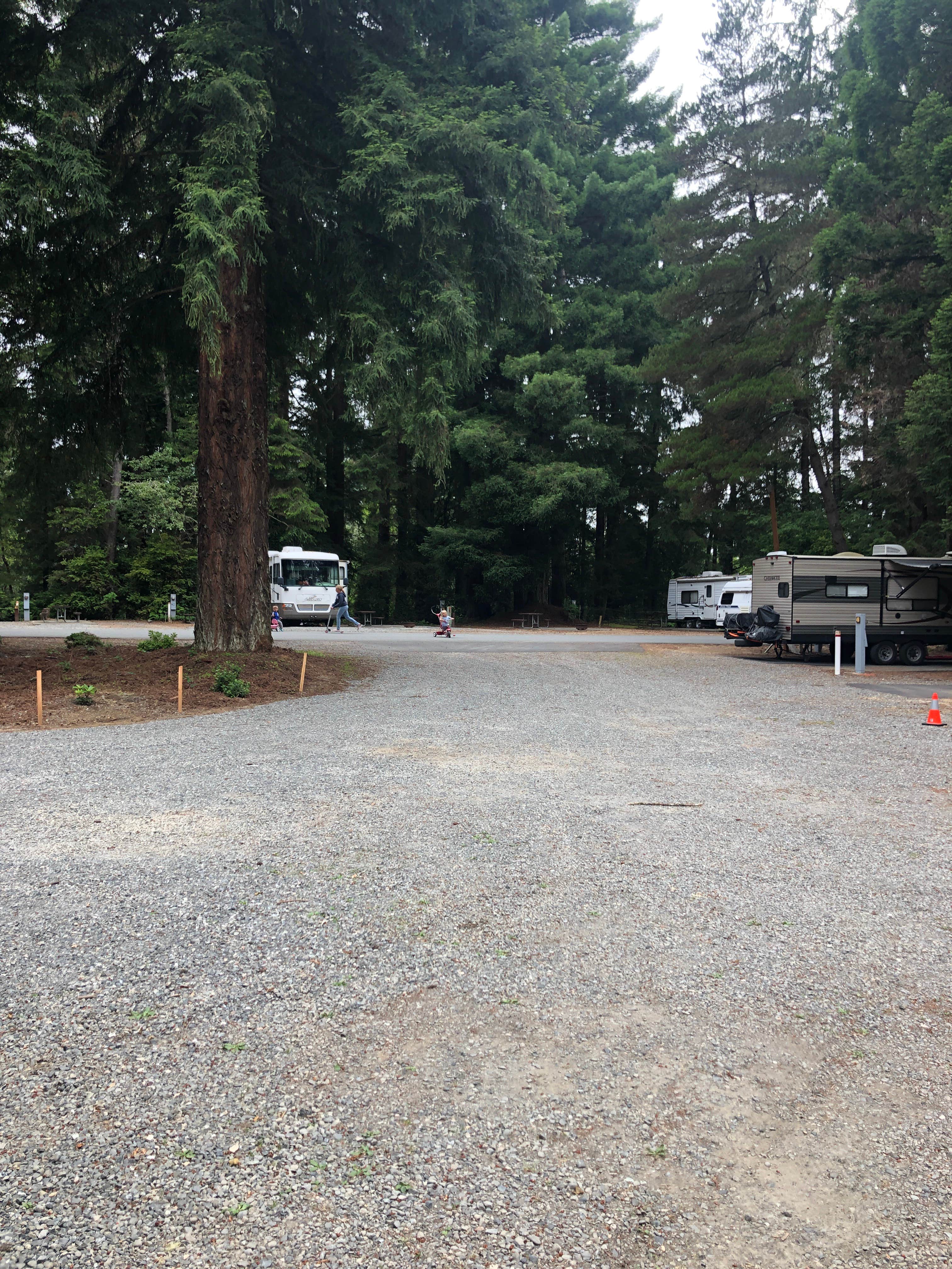 Krystal M.'s photo of rv camping at Village Camper Inn RV Park near Redwood National Park