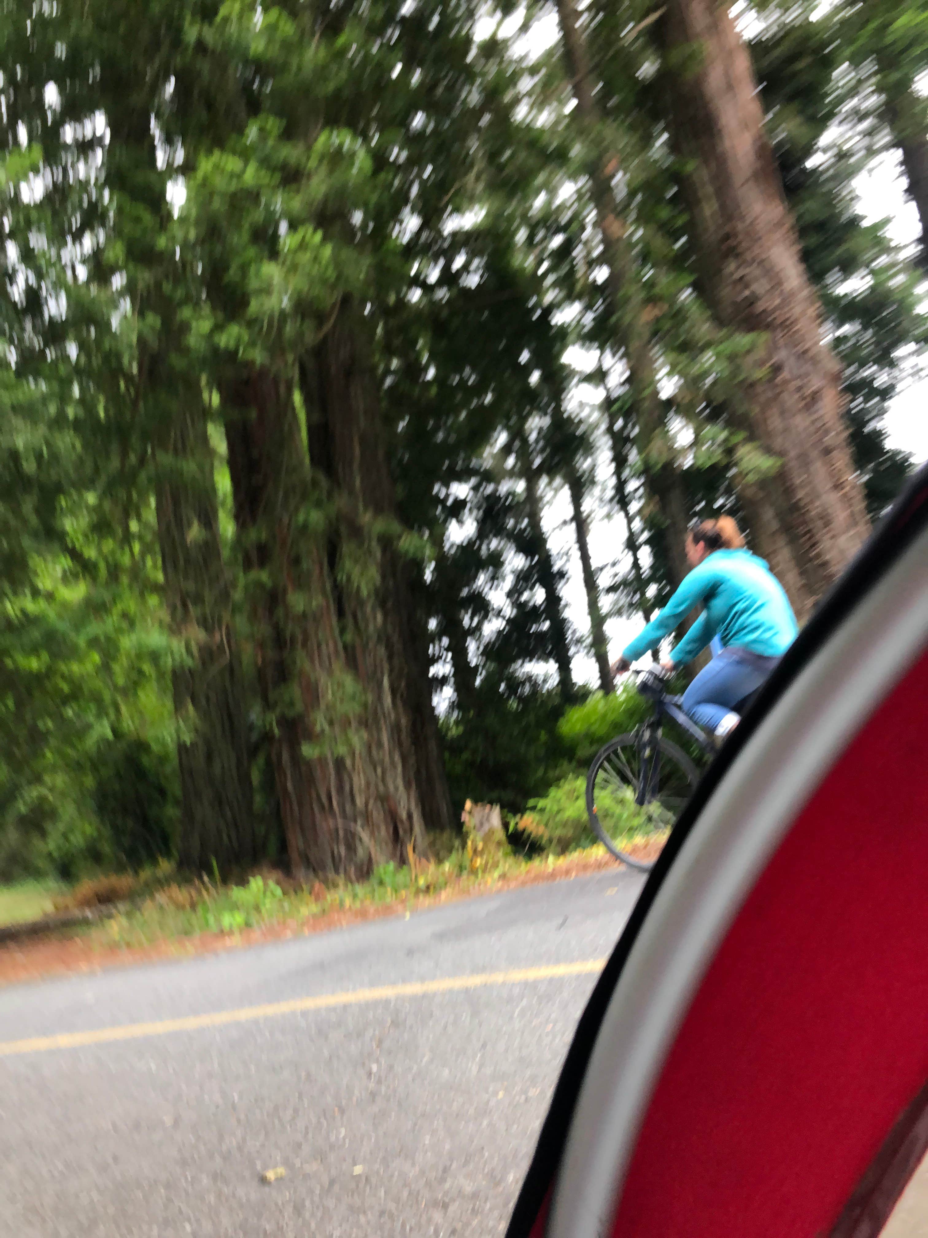 Camper-submitted photo at Village Camper Inn RV Park near Gasquet, CA