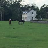 Review photo of Sea Camp Campground — Cumberland Island National Seashore by Michelle J., July 17, 2018