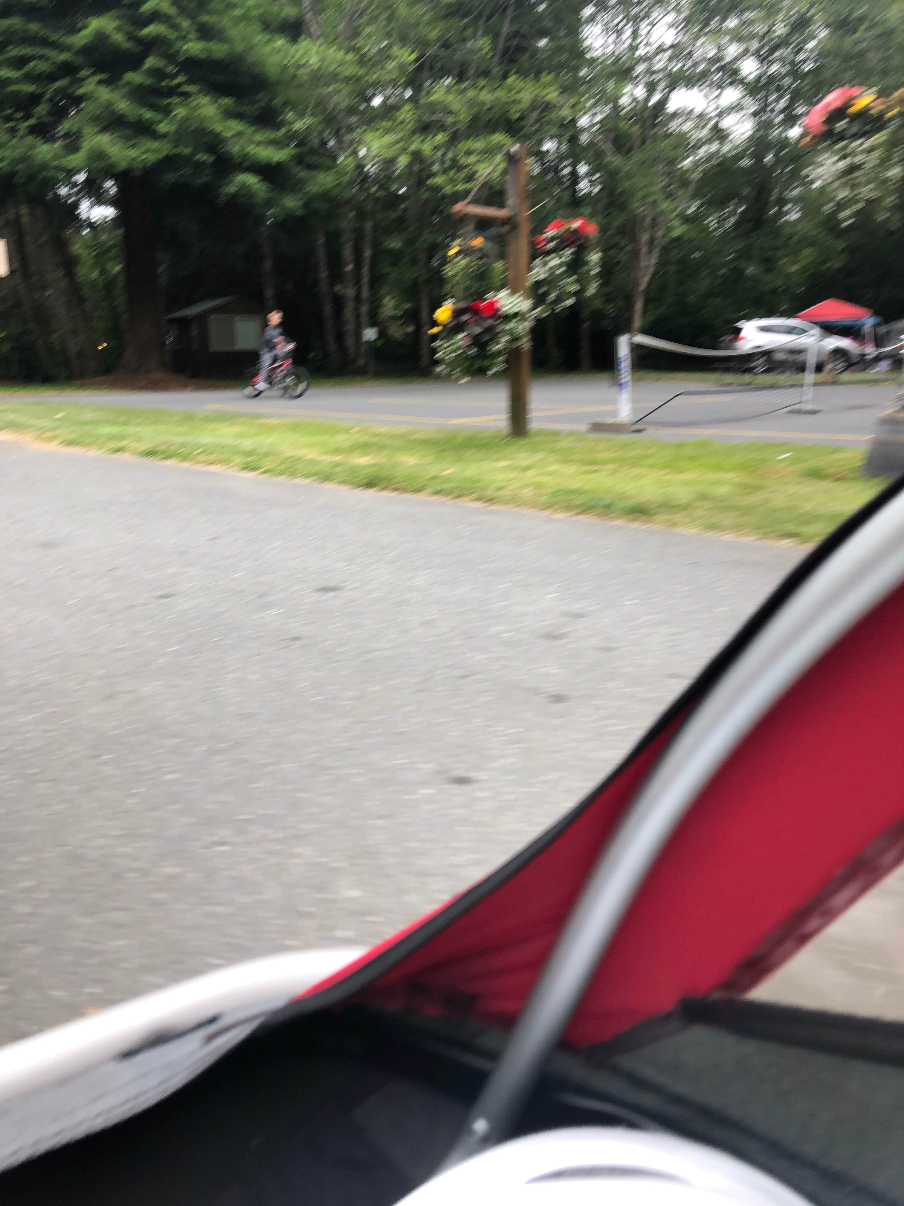 Camper-submitted photo at Village Camper Inn RV Park near Gasquet, CA