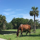 Review photo of Sea Camp Campground — Cumberland Island National Seashore by Michelle J., July 17, 2018