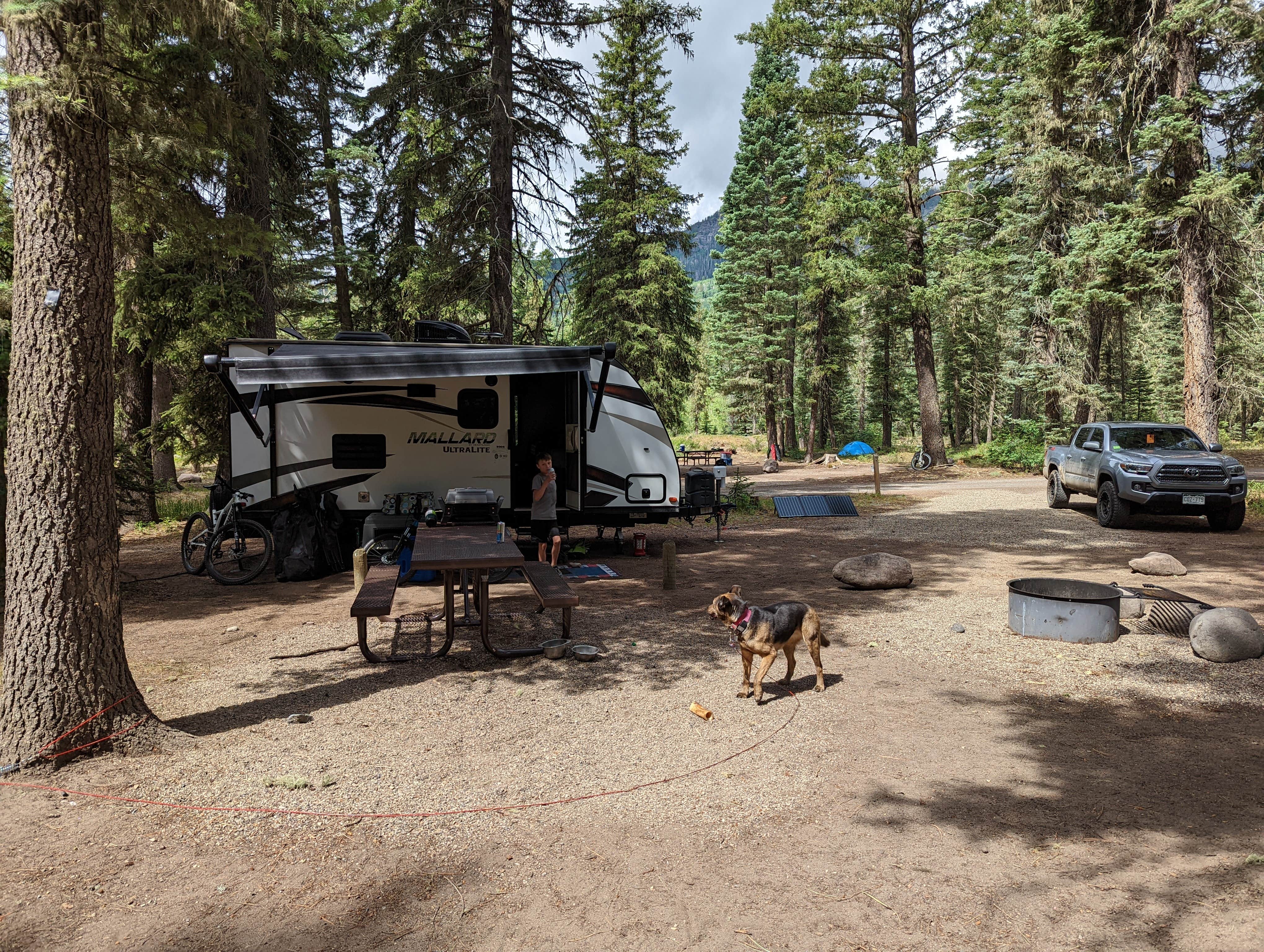 Chad S.'s photo of camping with pets at West Fork Campground near Rio Grande National Forest
