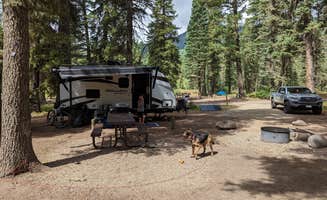 Chad S.'s photo of camping with pets at West Fork Campground near Pagosa Springs, CO