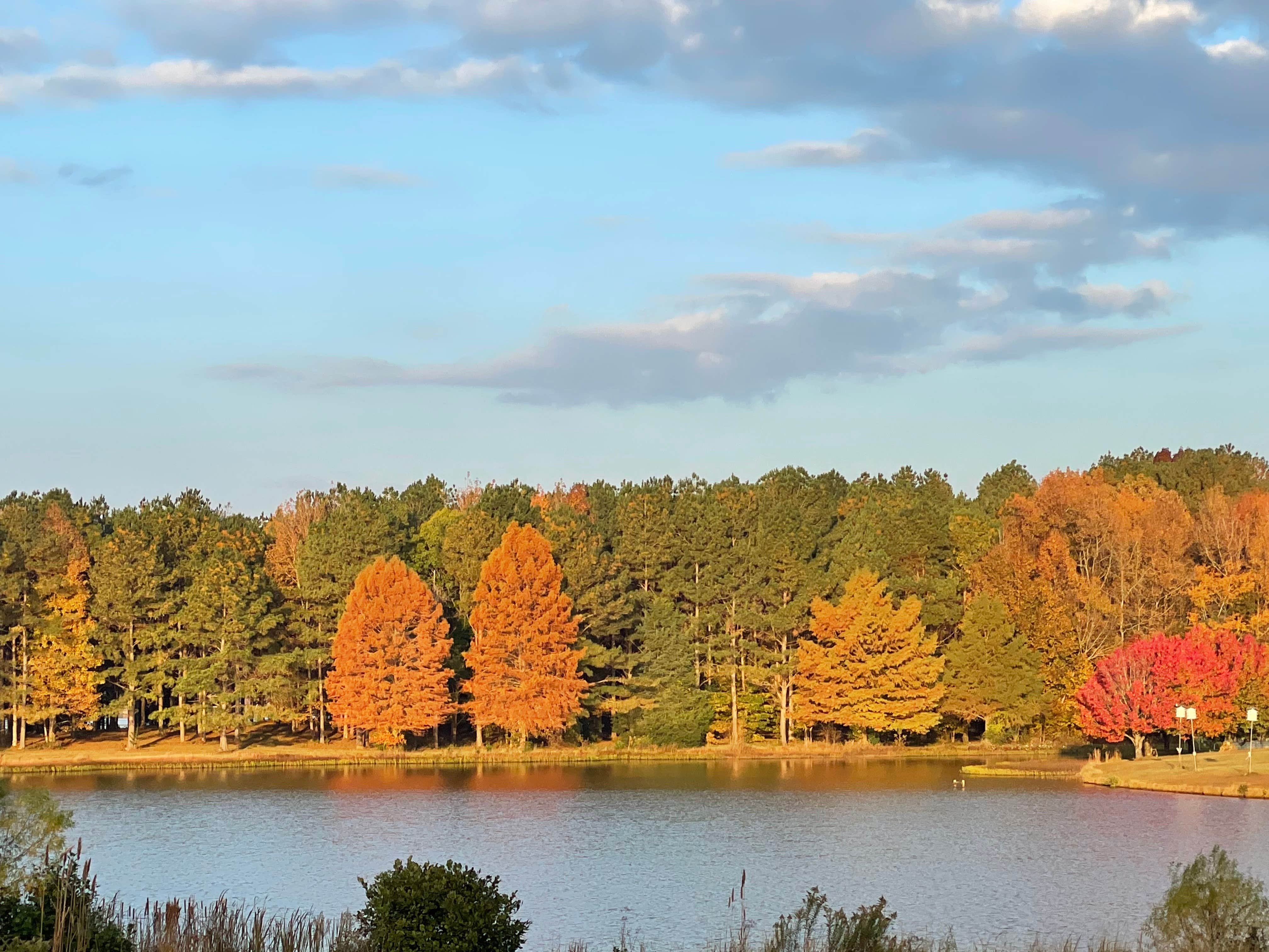 Camper submitted image from Whites Creek Lake Campground - 1