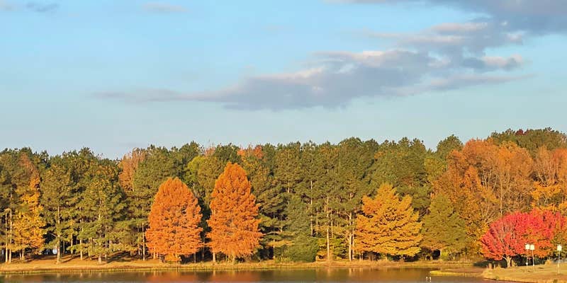 Camper submitted image from Whites Creek Lake Campground