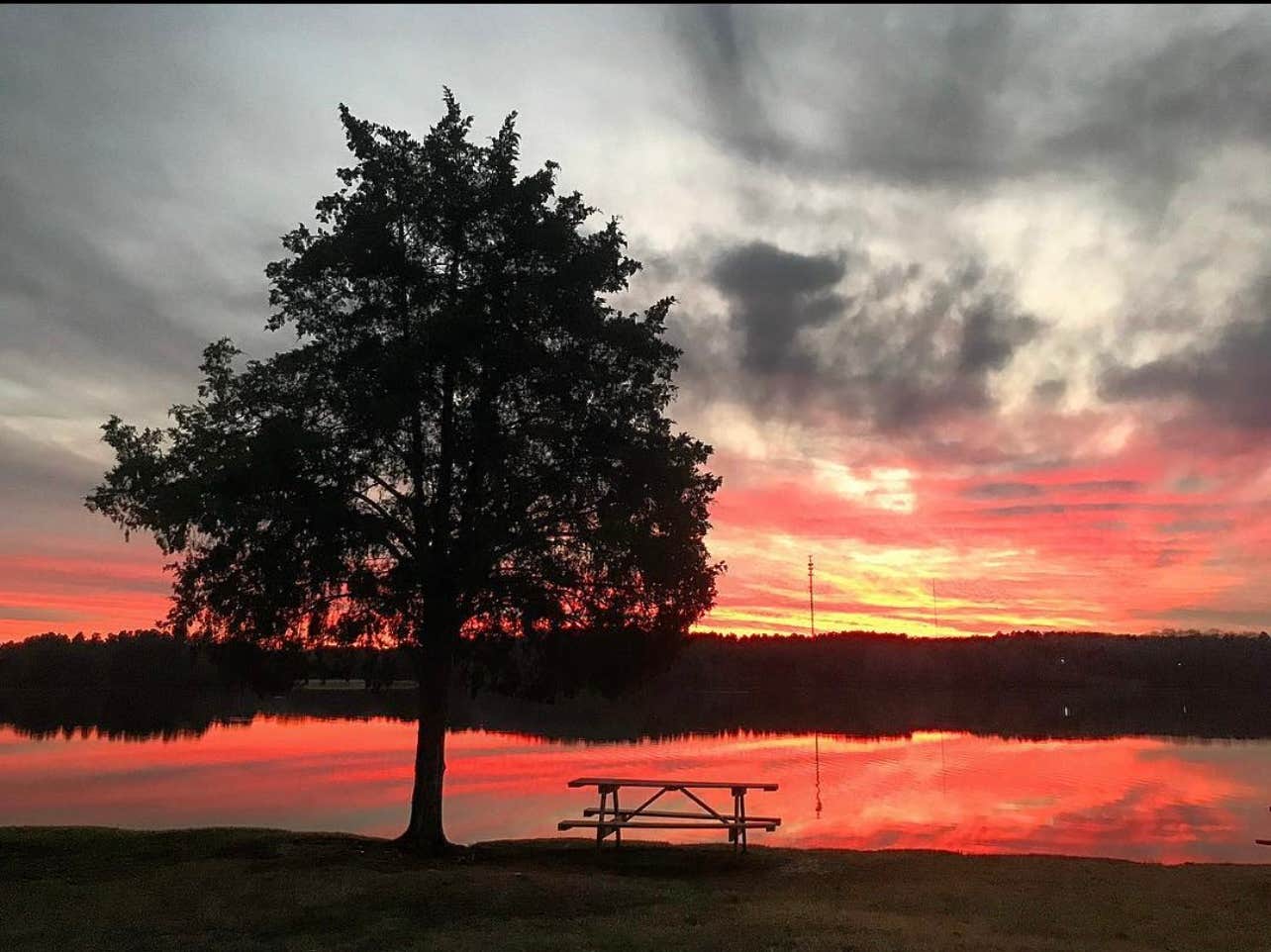 Camper-submitted photo at Whites Creek Lake Campground near Ackerman, MS