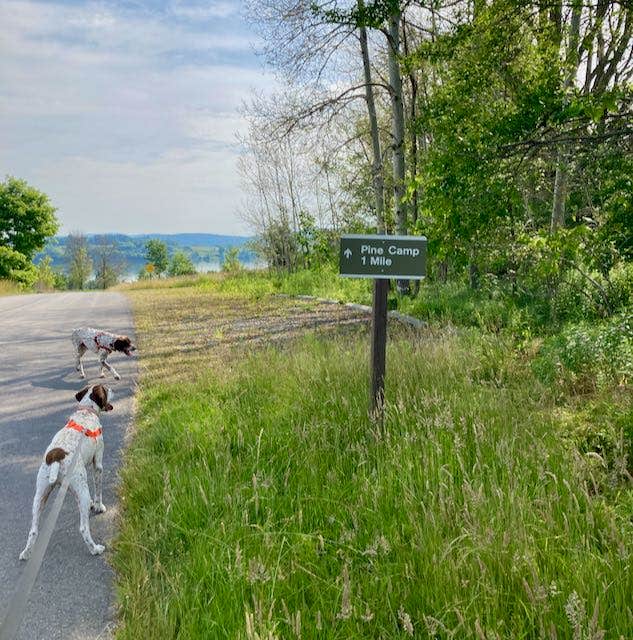 Camper submitted image from Ives Run - 3