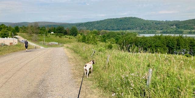 MickandKarla W.'s photo of camping with pets at Ives Run near Tioga-Hammond Lakes