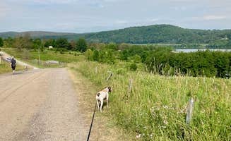 MickandKarla W.'s photo of camping with pets at Ives Run near Tioga-Hammond Lakes