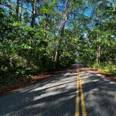 Review photo of Tyler State Park Campground by Napunani , June 27, 2022