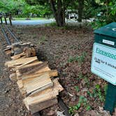 Review photo of Tyler State Park Campground by Napunani , June 27, 2022