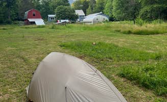 Justin P.'s photo of tent camping at Paugus Brook Farm near Deerfield, NH