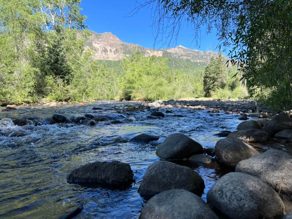 West Fork Campground Camping | Pagosa Springs, CO | The Dyrt