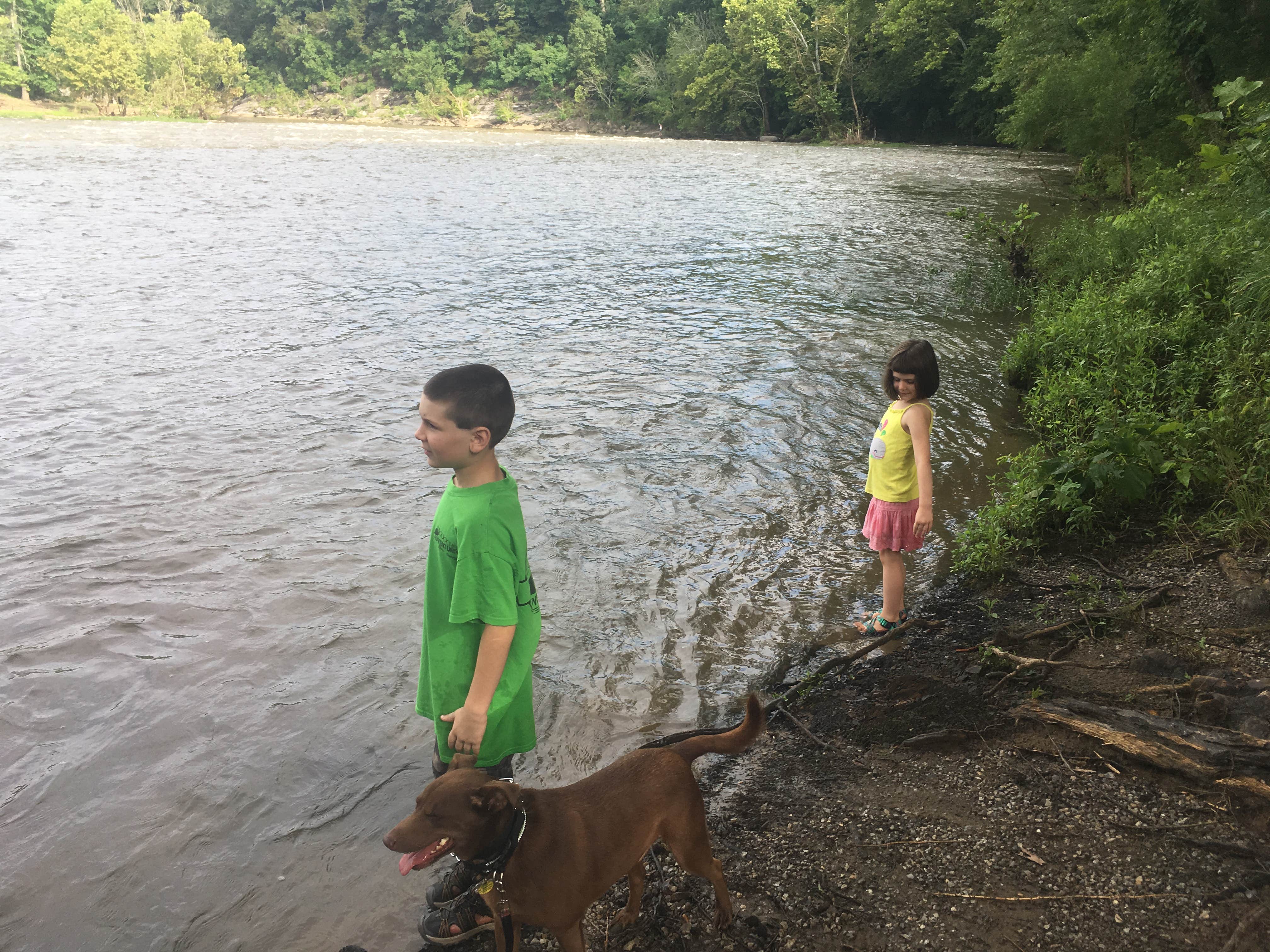 Anna R.'s photo of camping with pets at Davy Crockett Birthplace State Park Campground near Unicoi, TN
