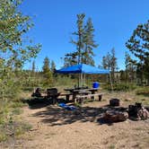 Review photo of Yellow Pine Campground (Wy) — Medicine Bow Routt N Fs & Thunder Basin Ng by Casey L., June 27, 2022