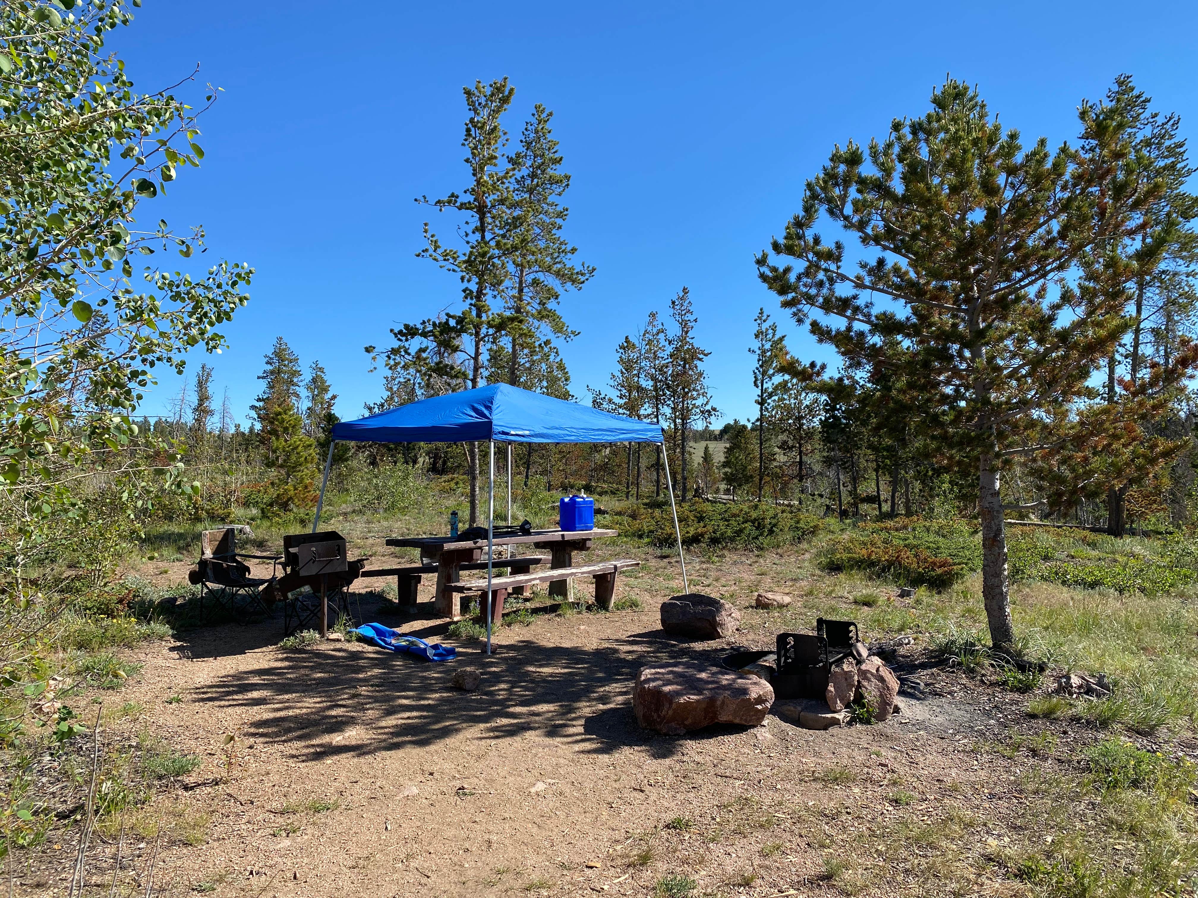 Camper submitted image from Yellow Pine Campground (Wy) — Medicine Bow Routt N Fs & Thunder Basin Ng - 3