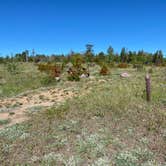 Review photo of Yellow Pine Campground (Wy) — Medicine Bow Routt N Fs & Thunder Basin Ng by Casey L., June 27, 2022