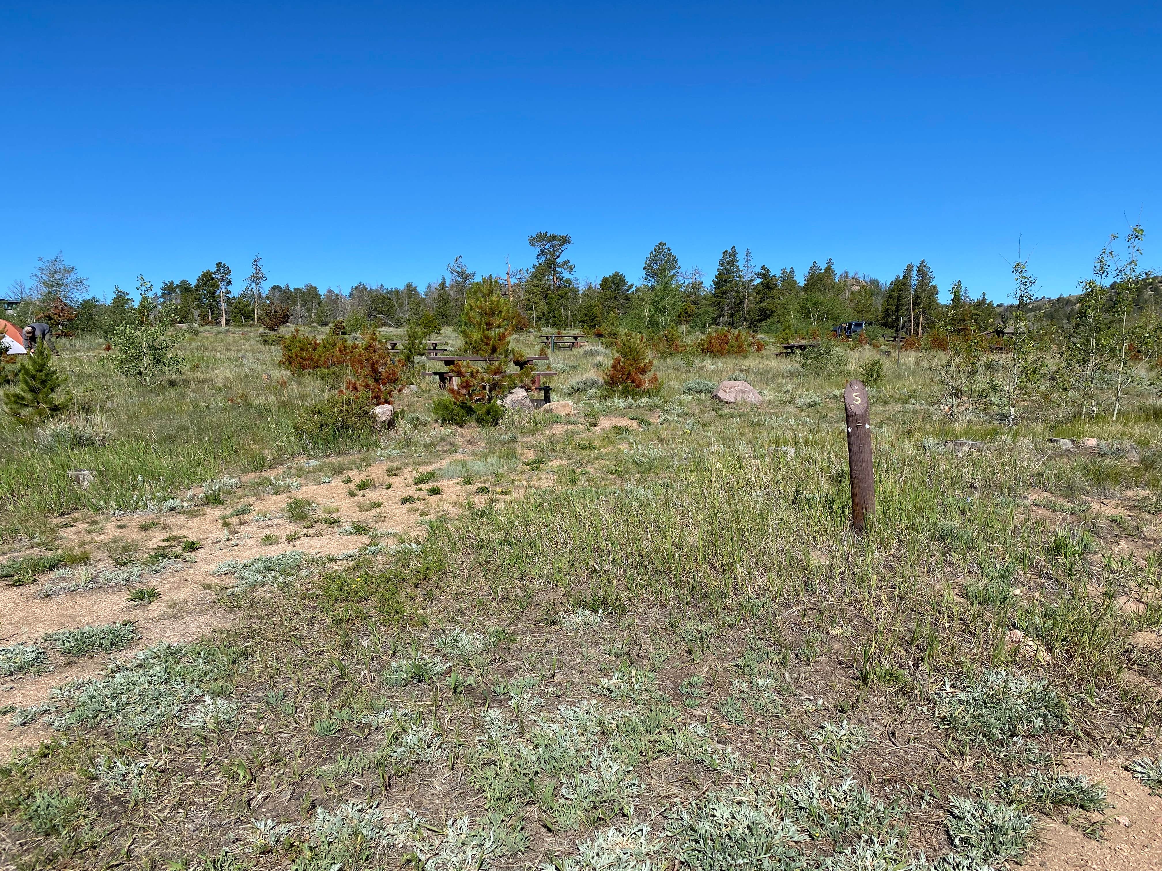 Camper submitted image from Yellow Pine Campground (Wy) - 5