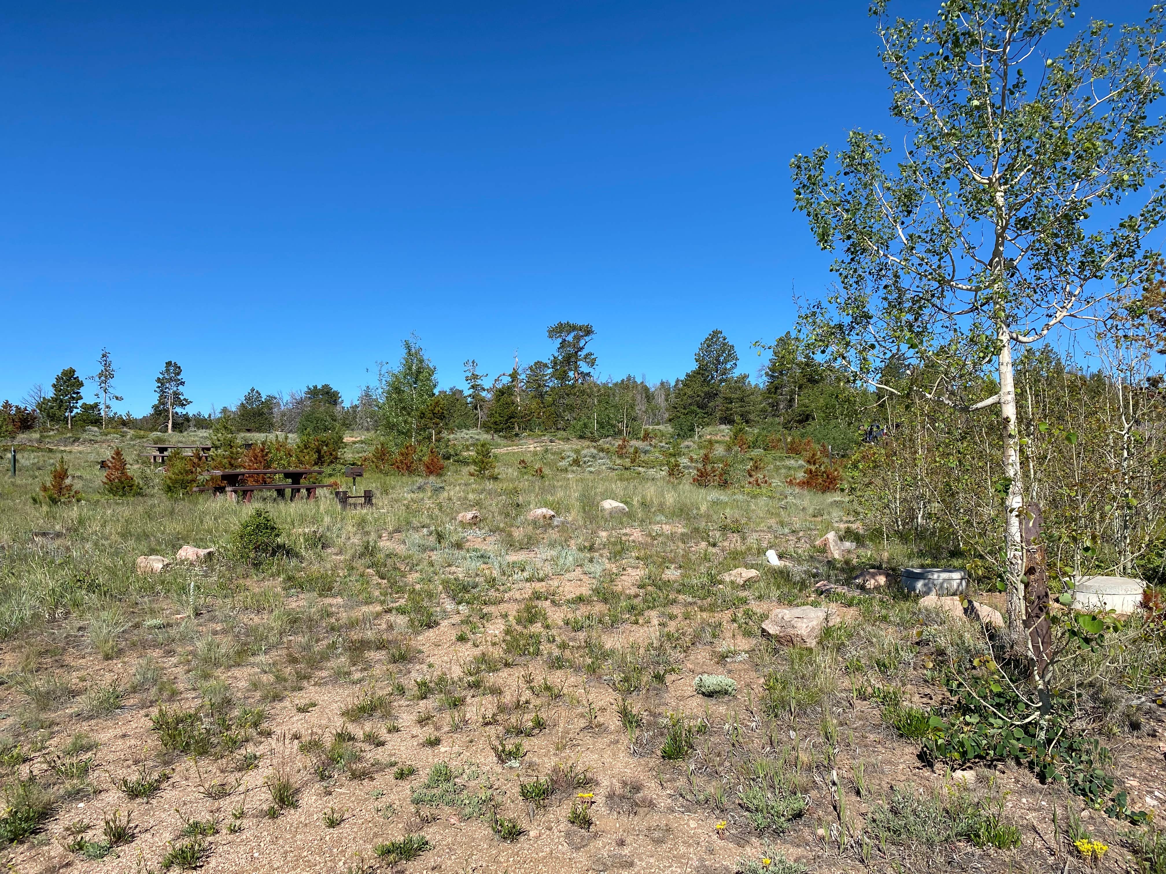 Camper-submitted photo at Yellow Pine Campground (Wy) near Buford, WY