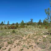 Review photo of Yellow Pine Campground (Wy) — Medicine Bow Routt N Fs & Thunder Basin Ng by Casey L., June 27, 2022