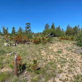 Review photo of Yellow Pine Campground (Wy) — Medicine Bow Routt N Fs & Thunder Basin Ng by Casey L., June 27, 2022