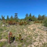 Review photo of Yellow Pine Campground by Casey L., June 27, 2022