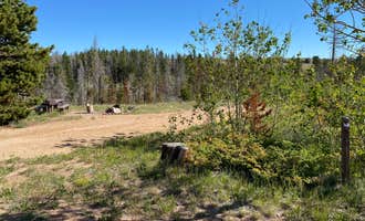 Camping near Tie City Campground: Yellow Pine Campground, Buford, Wyoming