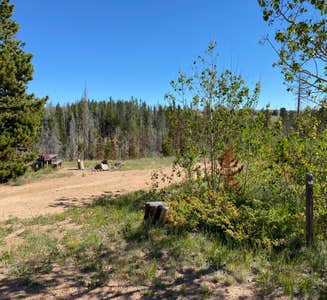 Camper-submitted photo from Yellow Pine Campground