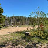 Review photo of Yellow Pine Campground (Wy) — Medicine Bow Routt N Fs & Thunder Basin Ng by Casey L., June 27, 2022