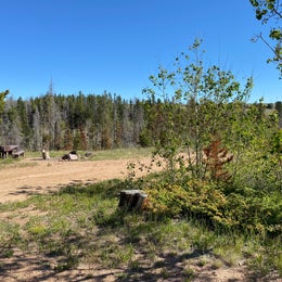 Yellow Pine Campground