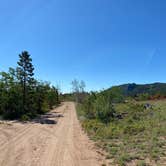 Review photo of Yellow Pine Campground (Wy) — Medicine Bow Routt N Fs & Thunder Basin Ng by Casey L., June 27, 2022