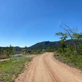 Review photo of Yellow Pine Campground (Wy) — Medicine Bow Routt N Fs & Thunder Basin Ng by Casey L., June 27, 2022