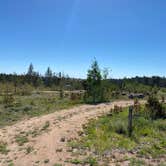 Review photo of Yellow Pine Campground (Wy) — Medicine Bow Routt N Fs & Thunder Basin Ng by Casey L., June 27, 2022