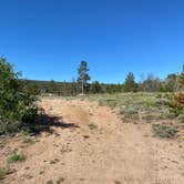 Review photo of Yellow Pine Campground (Wy) — Medicine Bow Routt N Fs & Thunder Basin Ng by Casey L., June 27, 2022