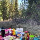 Review photo of Pine Creek Campground by Jamie C., June 27, 2022