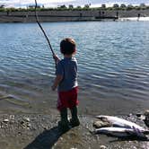 Review photo of Homer Spit Campground by Jonathan B., July 11, 2018