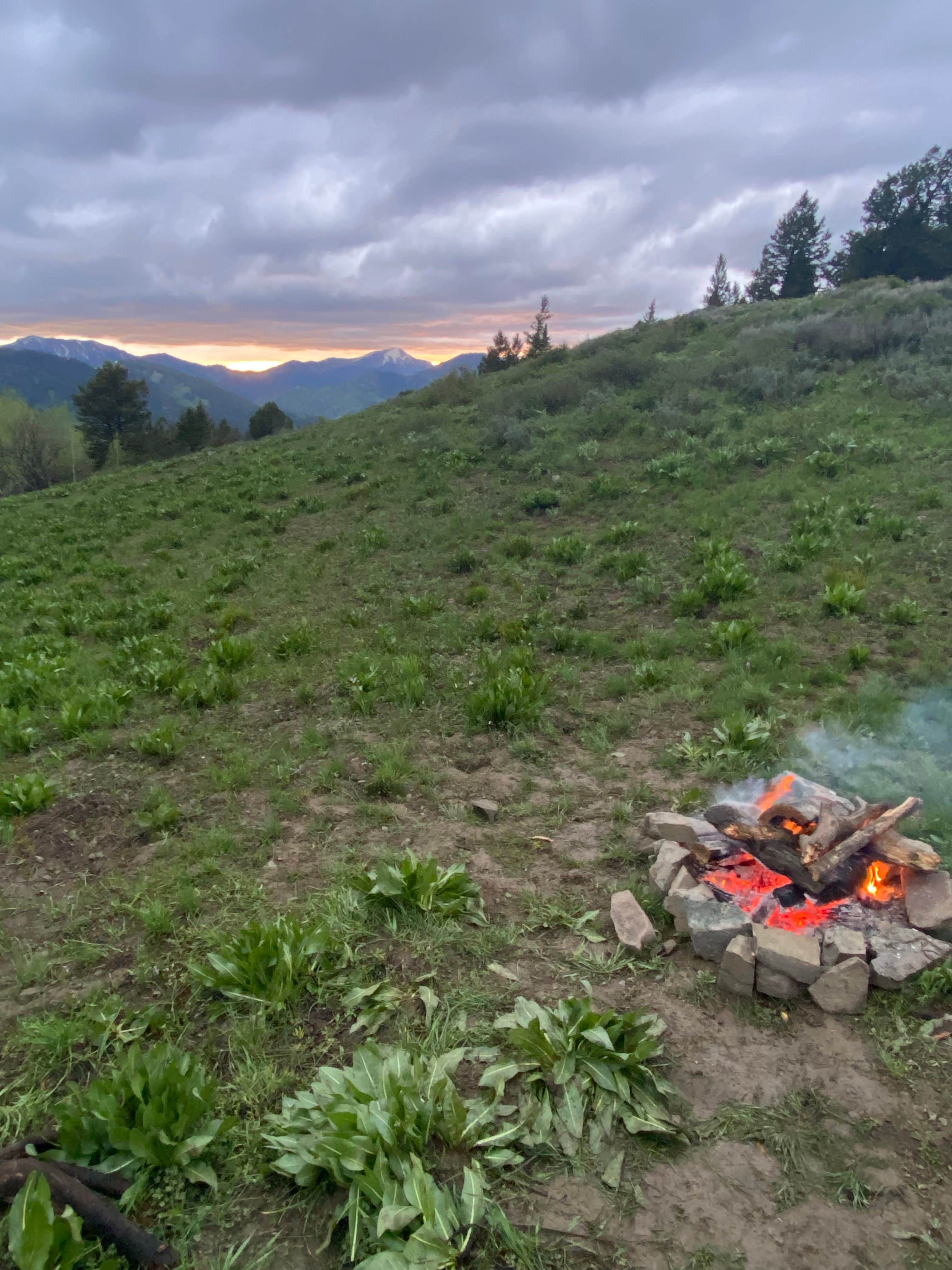 Camping near Fall Creek dispersed: Pine Creek Pass Dispersed Camping, Victor, Idaho