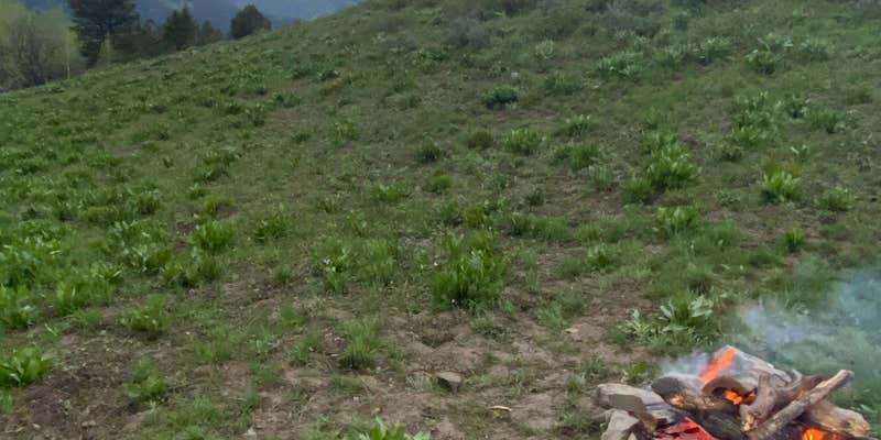 Camper submitted image from Pine Creek Pass Dispersed Camping