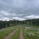 Review photo of Pine Creek Pass Dispersed Camping by Jamie C., June 27, 2022