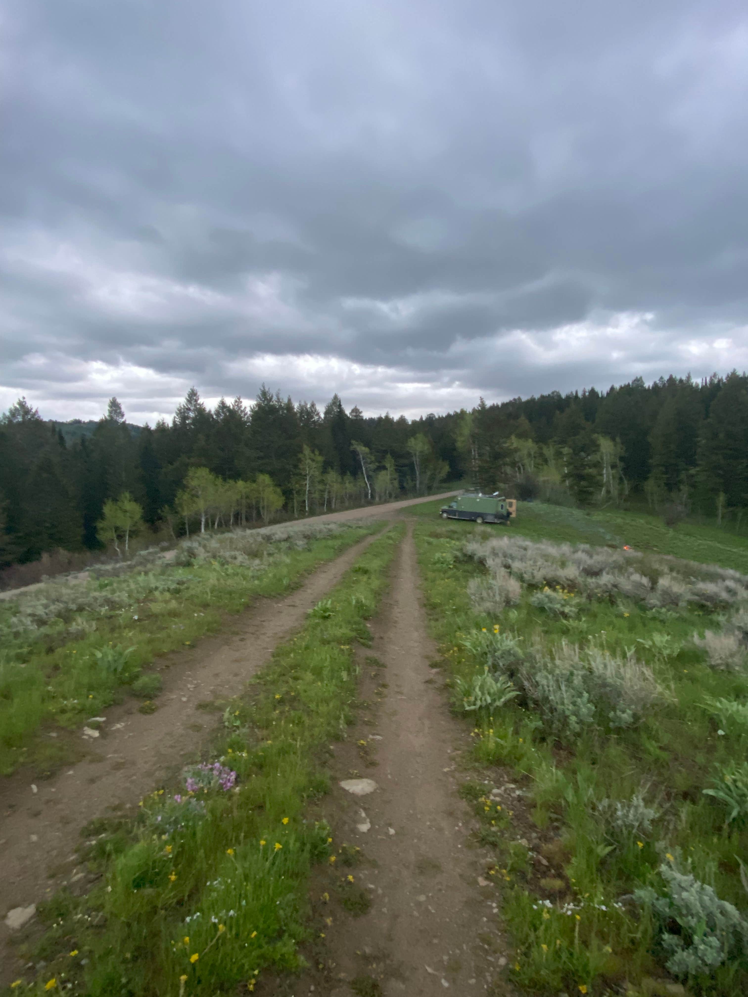 Camper submitted image from Pine Creek Pass Dispersed Camping - 5