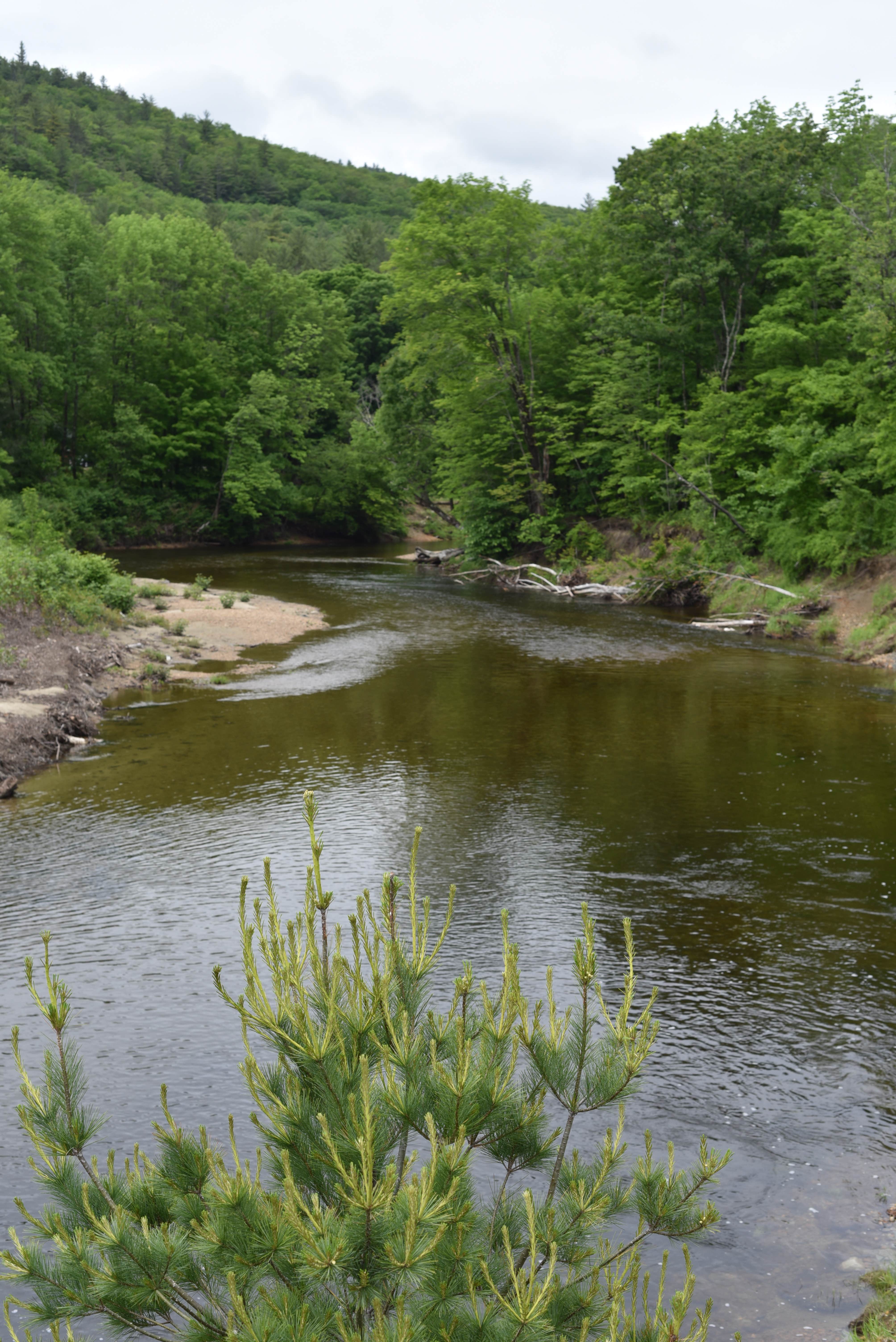 Camper-submitted photo at Baker Rocks near Lyme, NH