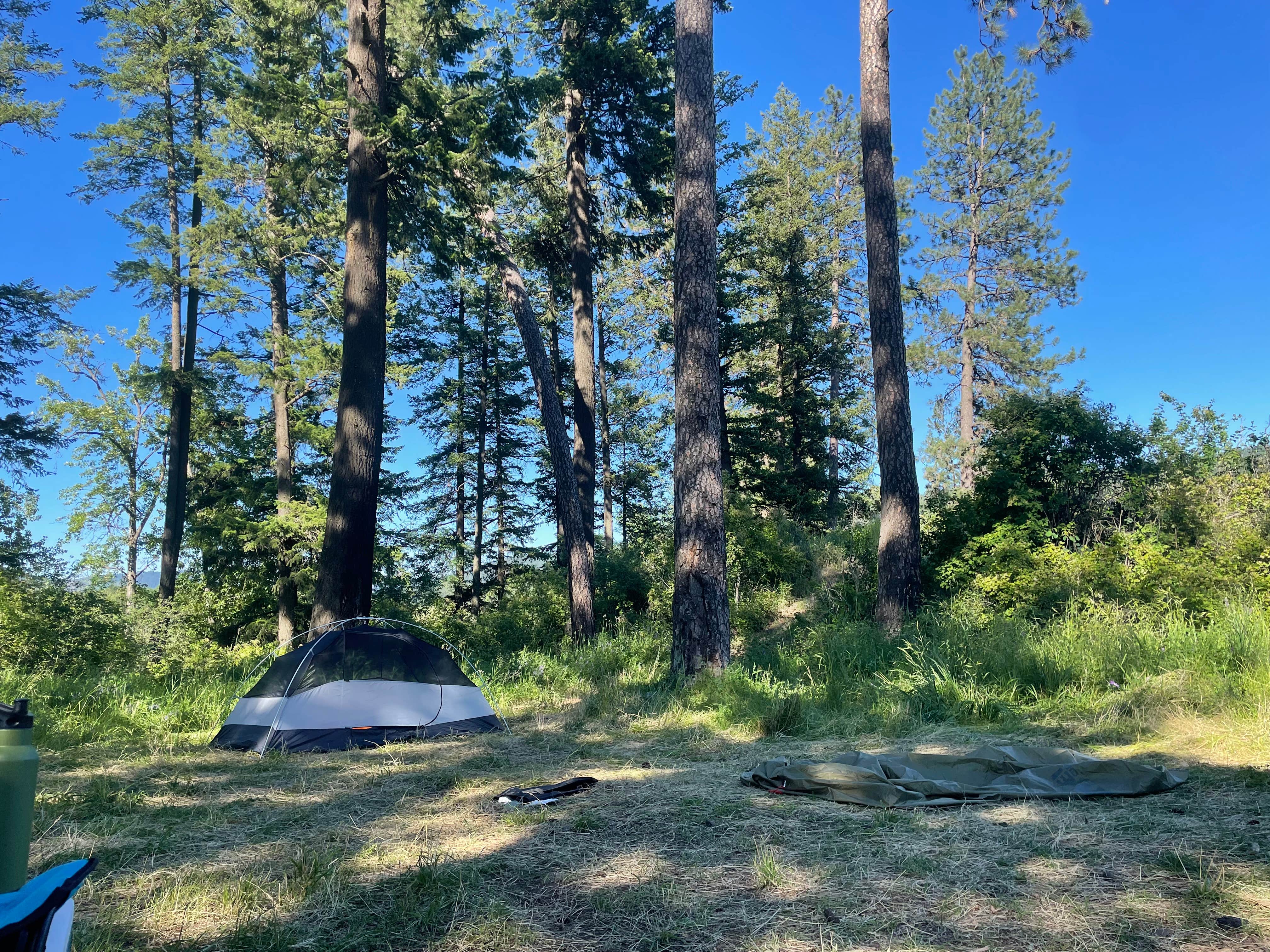 Camper submitted image from Rainy Hill Campground - 3