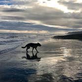 Review photo of Homer Spit Campground by Jonathan B., July 11, 2018