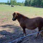 Review photo of Double L Farms Campground by New  D., June 27, 2022