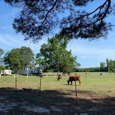 Review photo of Double L Farms Campground by New  D., June 27, 2022
