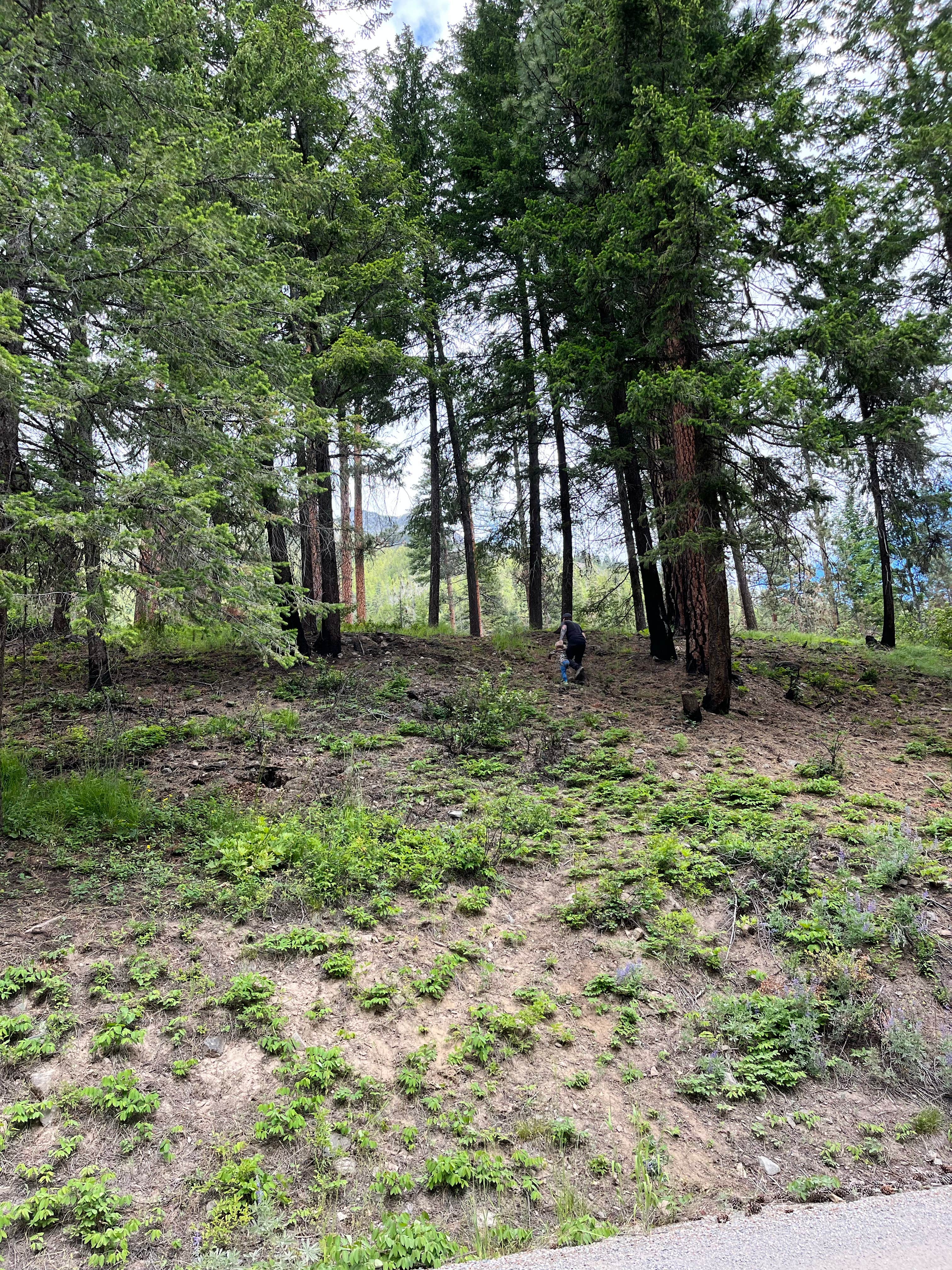 Camper-submitted photo at Okanogan National Forest Ballard Campground near Mazama, WA
