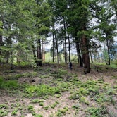 Review photo of Okanogan National Forest Ballard Campground by Bradee A., June 27, 2022