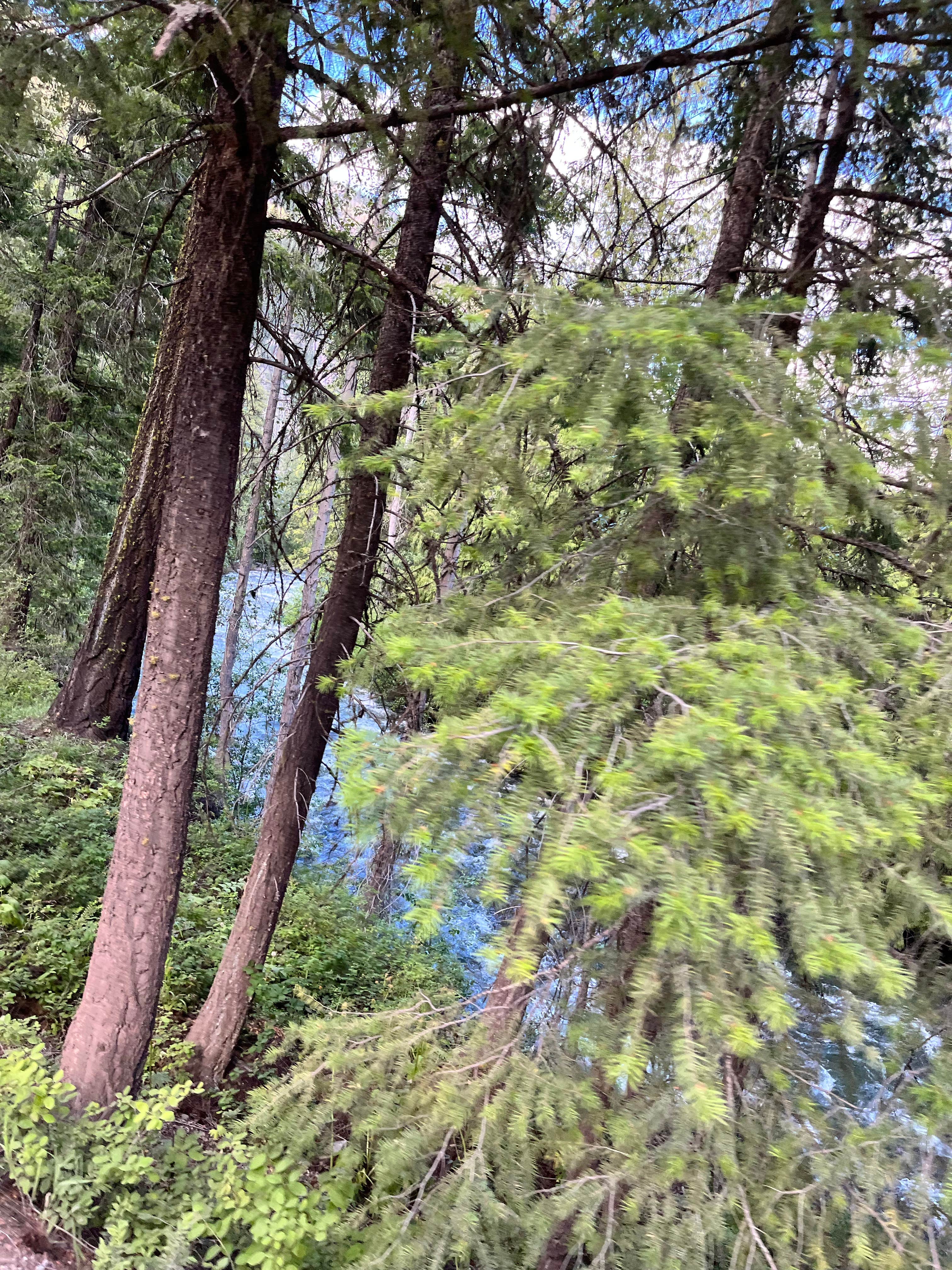 Camping near Klipchuck Campground: Okanogan National Forest Ballard Campground, Mazama, Washington