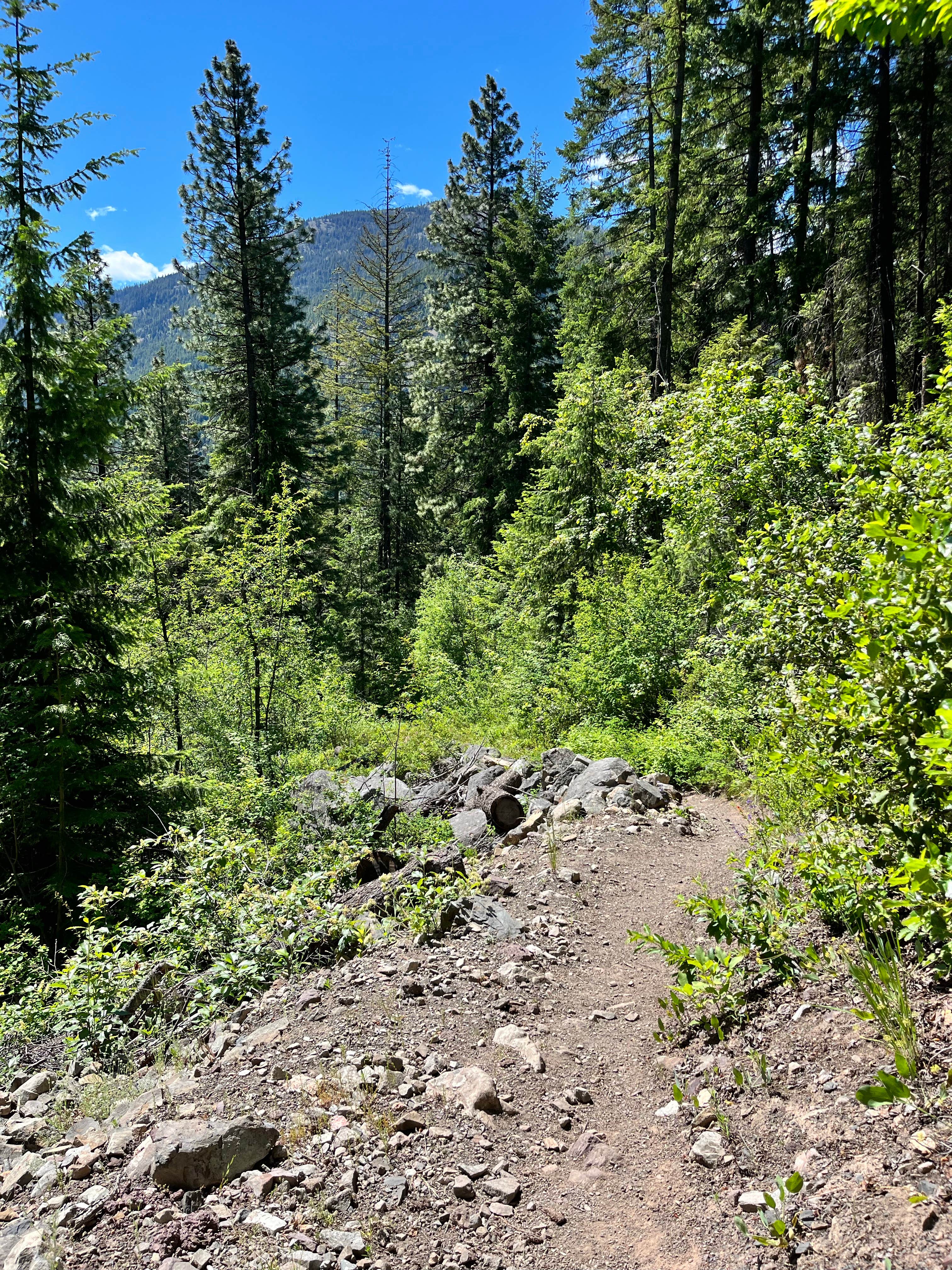 Camper submitted image from Okanogan National Forest Ballard Campground - 4